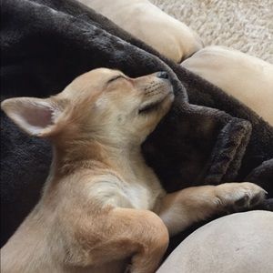 Meet your Posher, Brielle